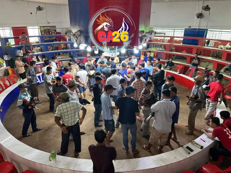 Làm Sao Để Coi Trực Tiếp Đá Gà Tại Nhà Cái E2bet?
